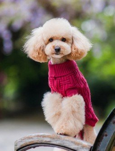 Pet Dog Teddy Comfortable Clothes Soft Thickening Warm Polar Fleece Winter Clothes