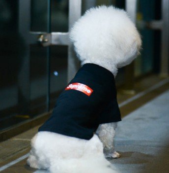 Soft Cotton Pet Clothes Dress Lovely Cute Dog Cloth Hot Sale Cloth