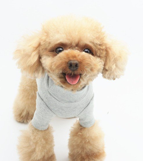 Wholesale Hot Sale Puppy Dog Product Warm Soft Cotton Dog Cloth